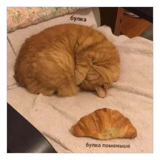 🥰