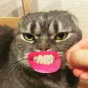 😁