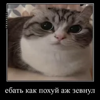 🙄
