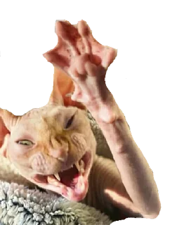 👋