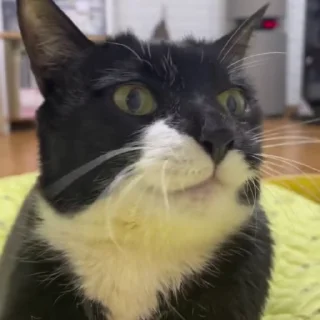 😕