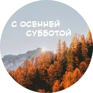🍁