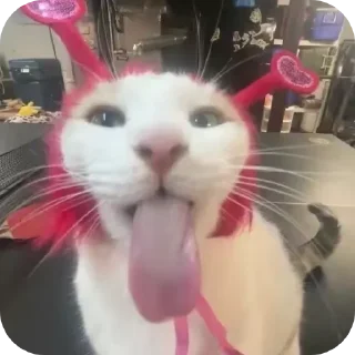 👍
