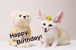 🍰
