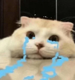 😭