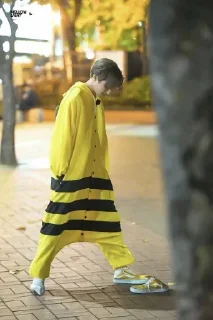 ✨