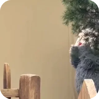 🧦