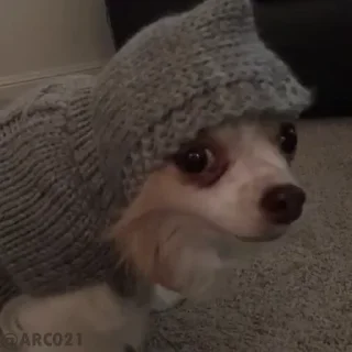😶