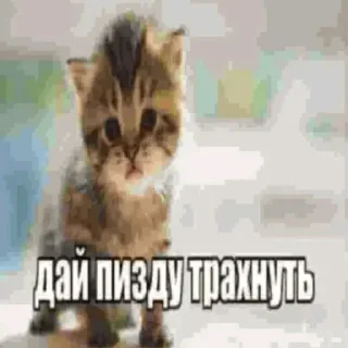 🤡