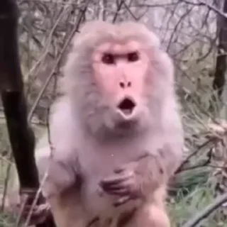 🤬