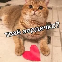 😝