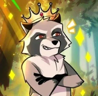🦝