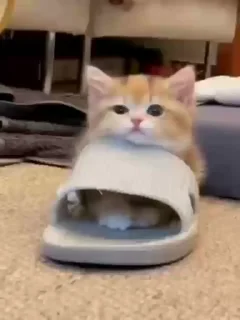 😉