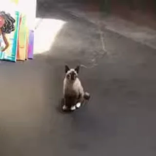 🙄
