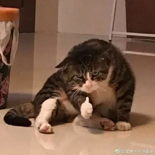 👍