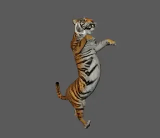 🐅