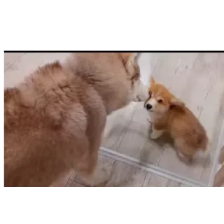 👍