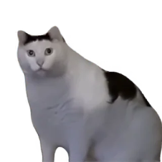 😨