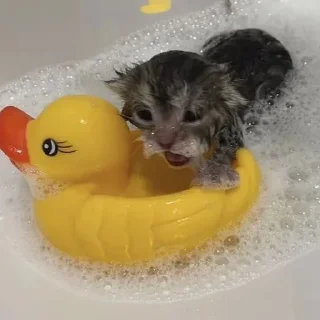 😵