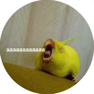 👹