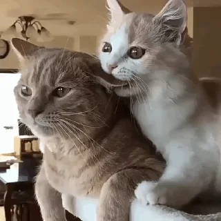 😋