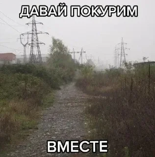 🧂