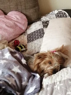 😢