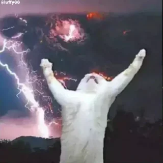 😈