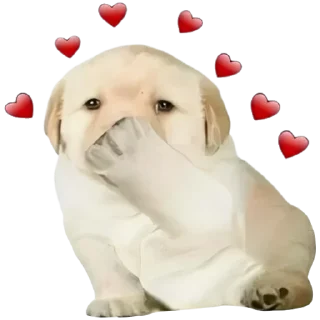 ❤️