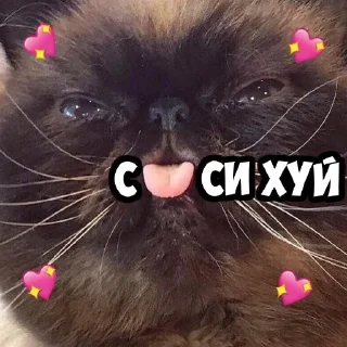 😝