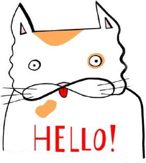 👋