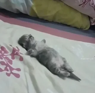 🎀