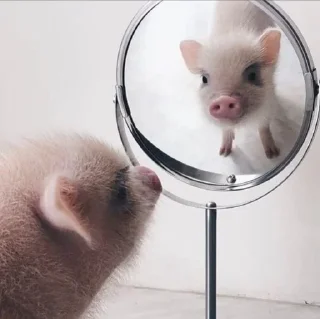 ☺️