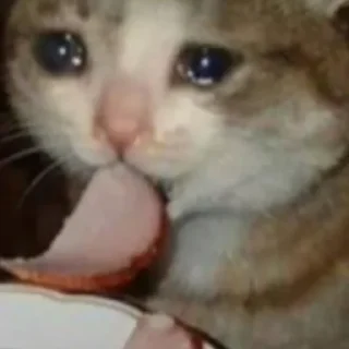 🥓