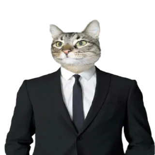 👨‍⚖️