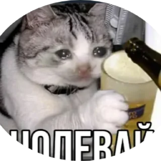 🍻
