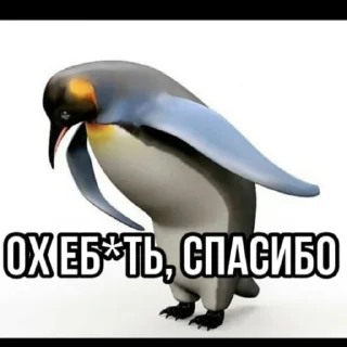 🐧