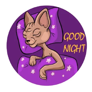 😴