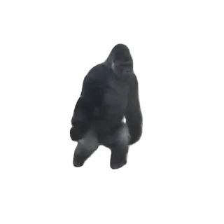 🚶‍♂️