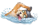 🏊