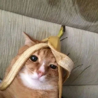 😶