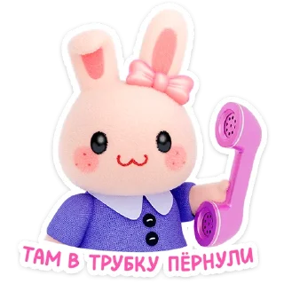 🐰
