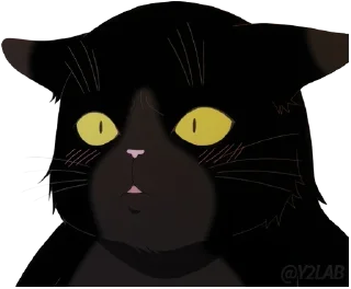 😯