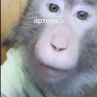😛