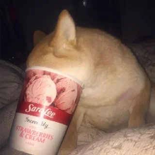 🙈