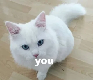 👩‍❤️‍👨