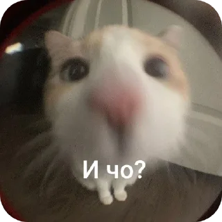🤨