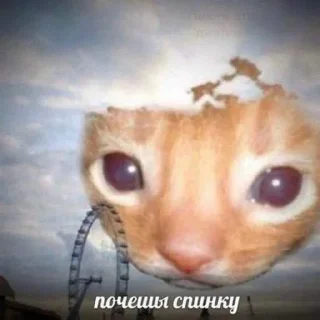 🥹