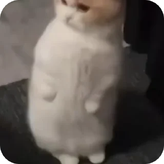 😮