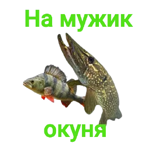 🫳
